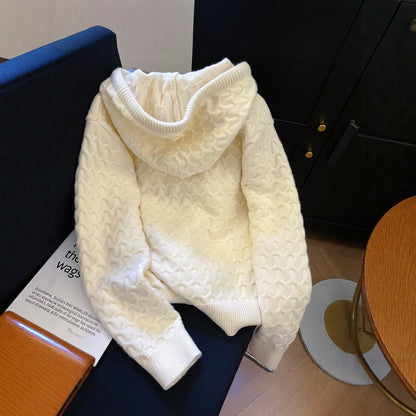 ケーブル編み フード付きカーディガン